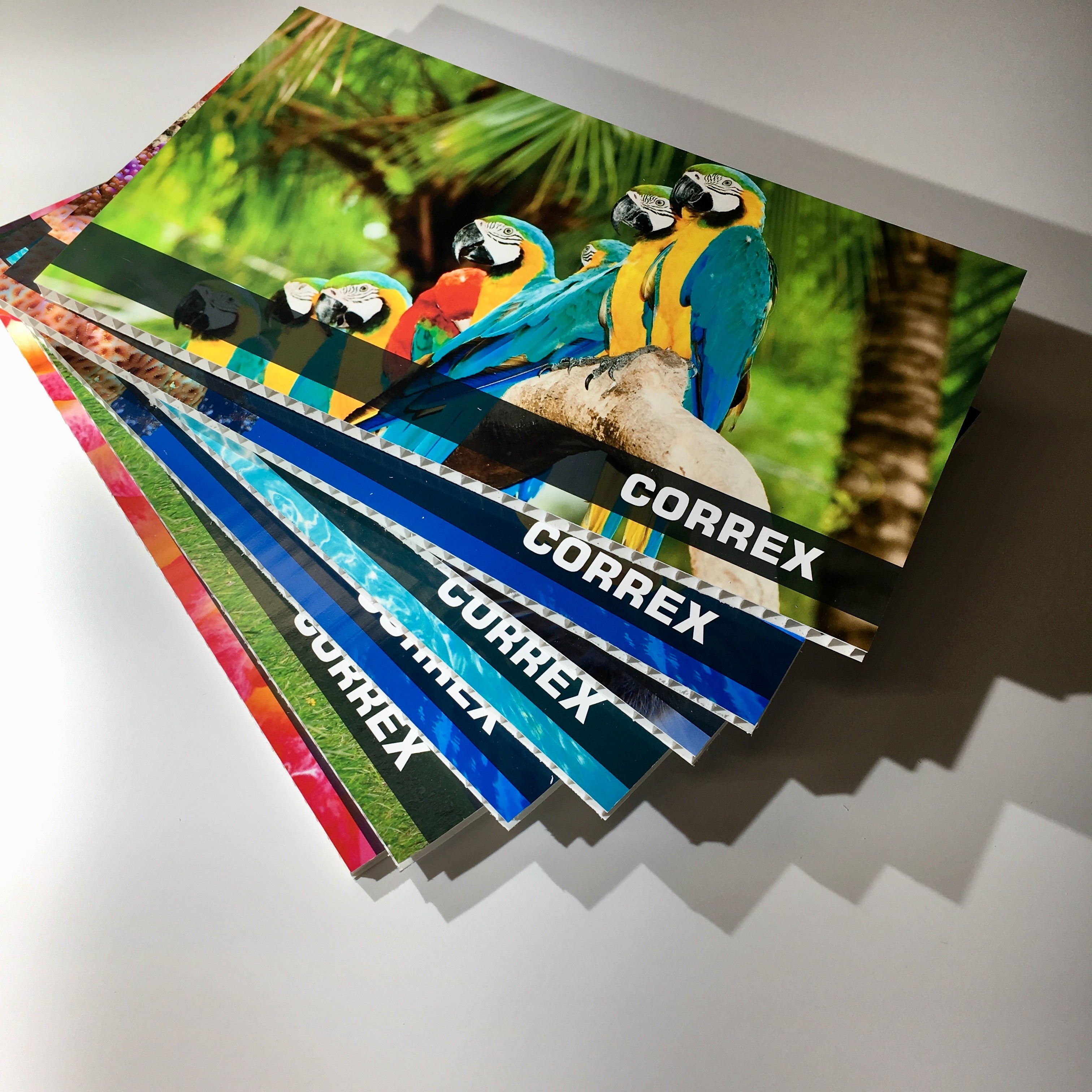 10mm Digitally Printed Correx Sign with Lamination 'A' Sizes