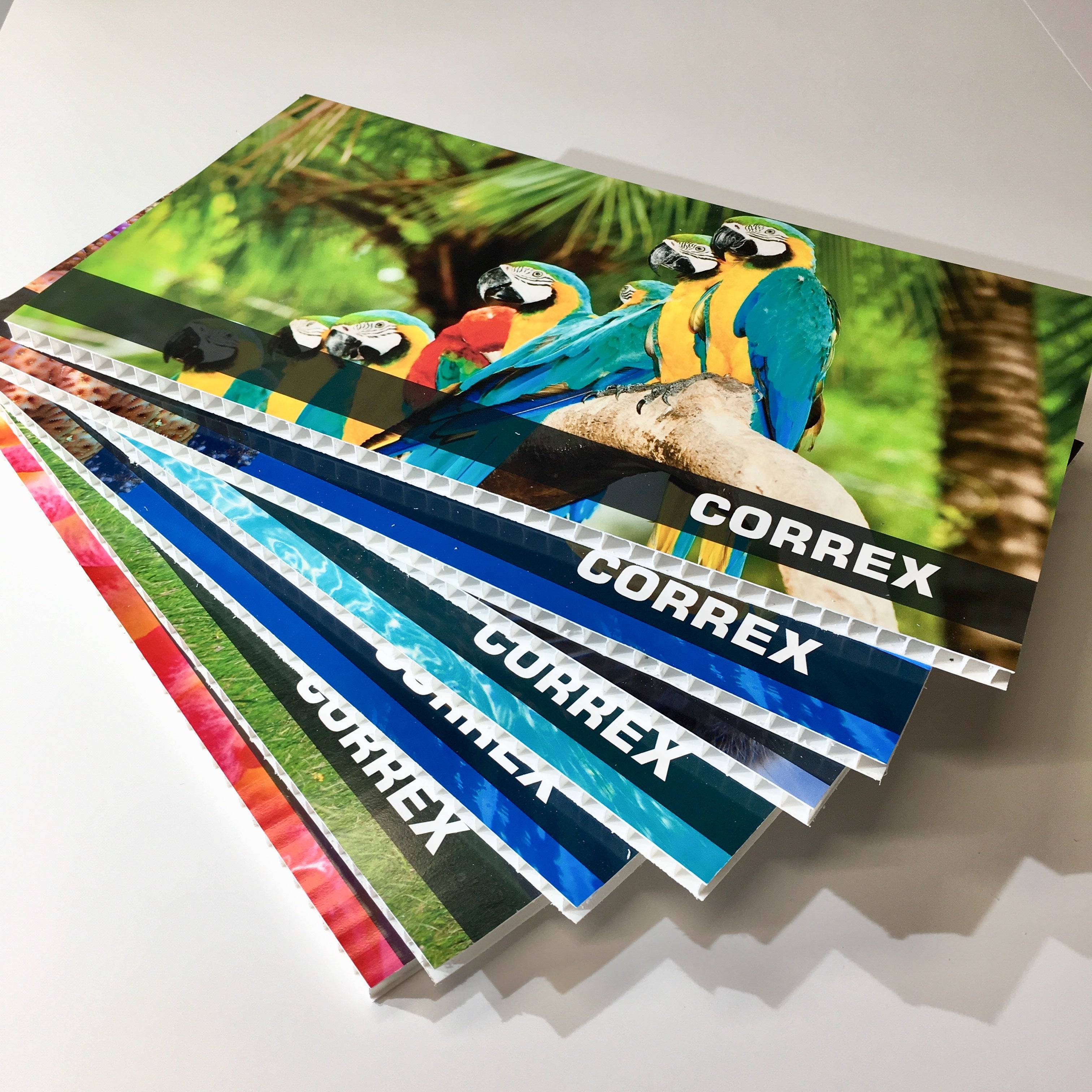 10mm Digitally Printed Correx Sign with Lamination 'A' Sizes