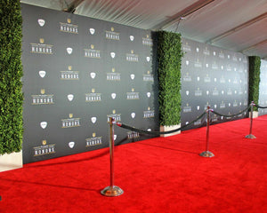 Fully Digitally Printed BOARD Step and Repeat PHOTO BACKDROP Your Logo Repeater